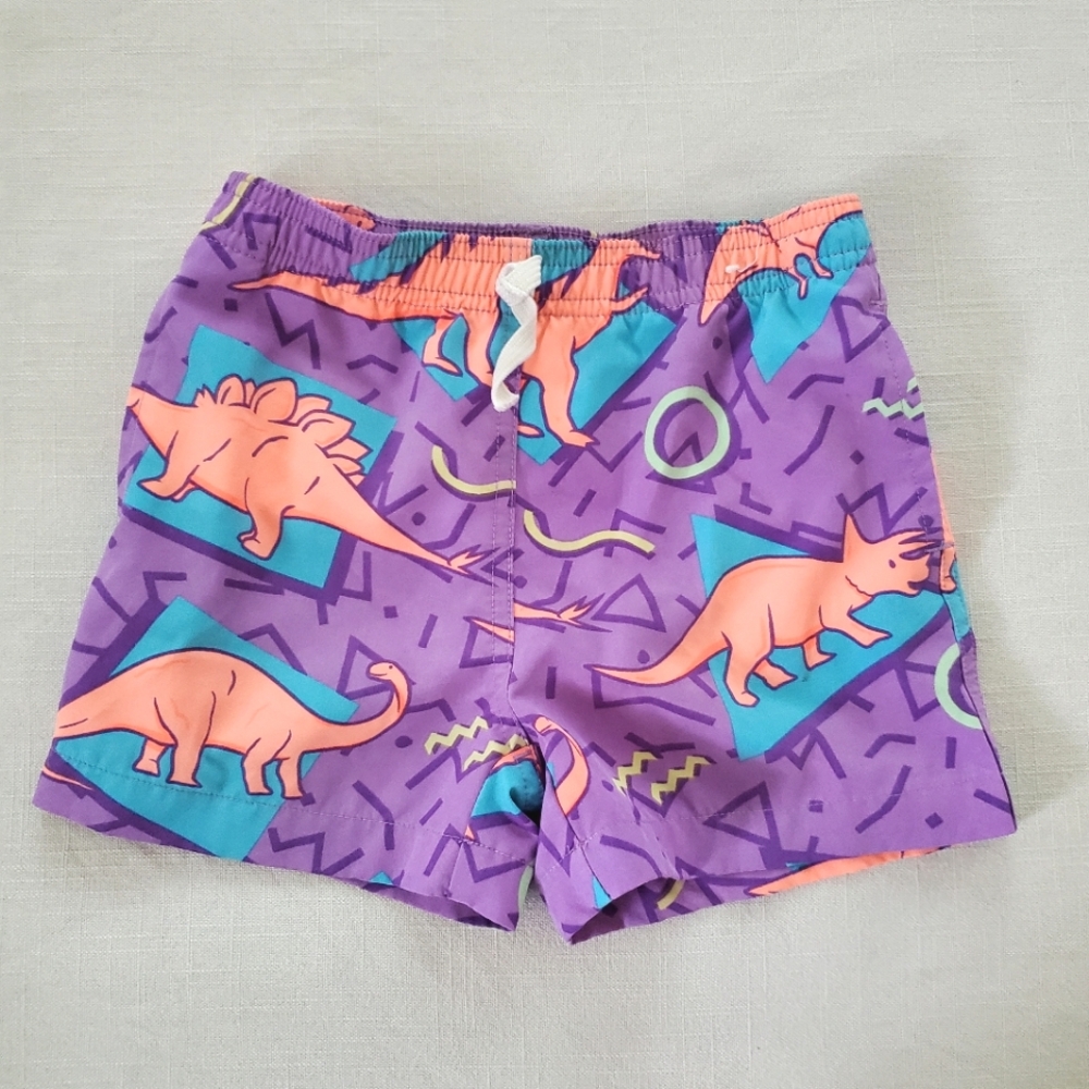 Purple Dinosaur Kids Swim Trunks